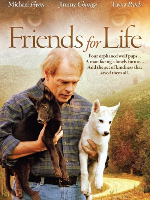 Friends for Life poster