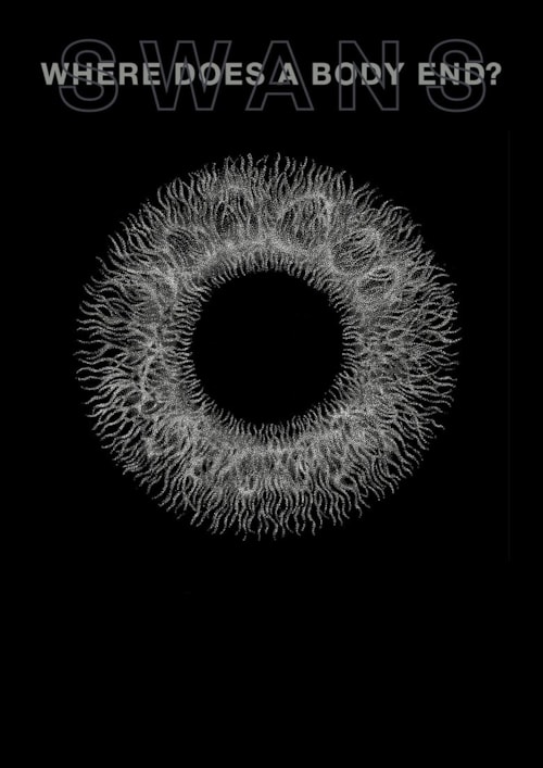 Swans: Where Does a Body End? poster