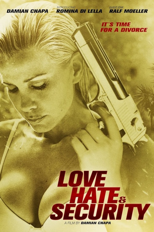 Love Hate and Security poster