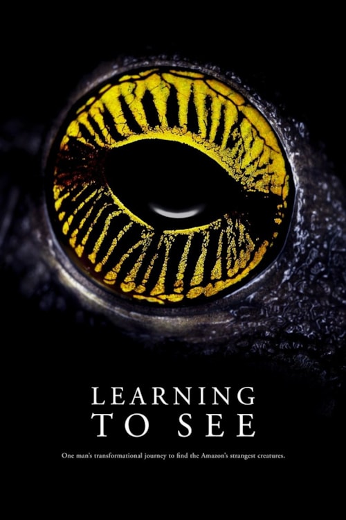 Learning To See poster