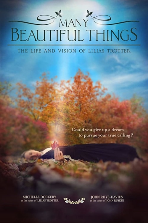 Many Beautiful Things poster