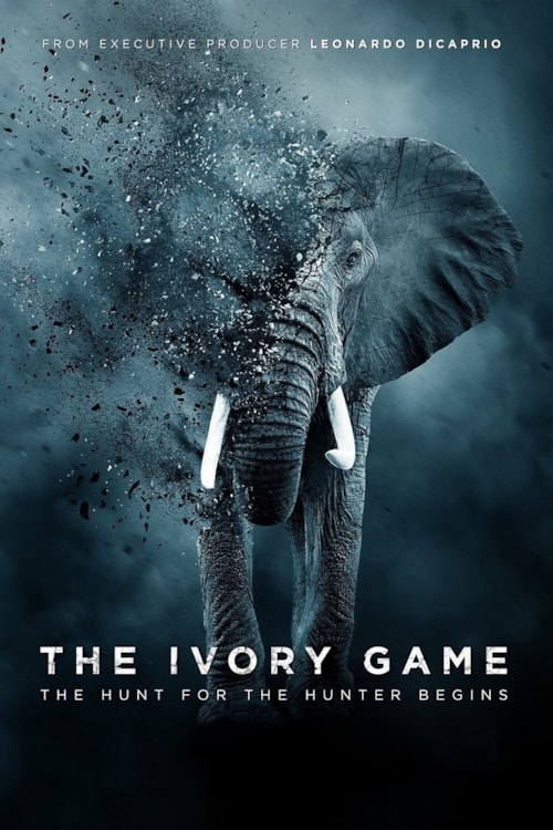 The Ivory Game poster