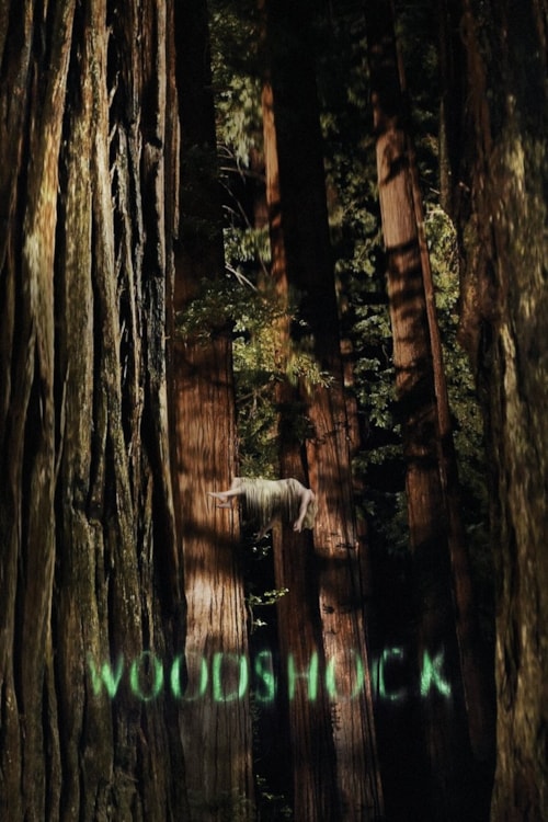 Woodshock poster