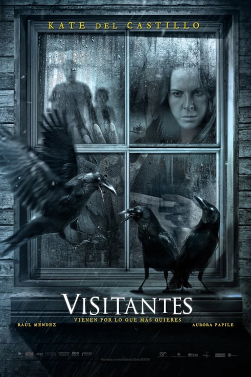 Visitantes poster