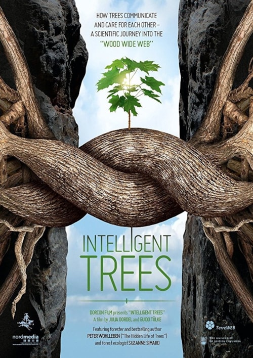 Intelligente Bäume poster