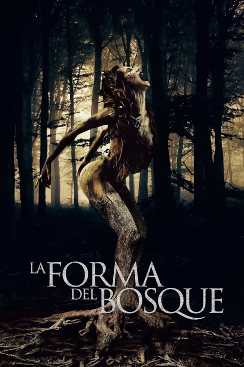 La forma del bosque poster