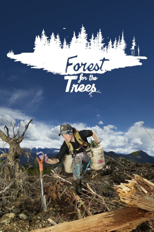 Forest for the Trees poster