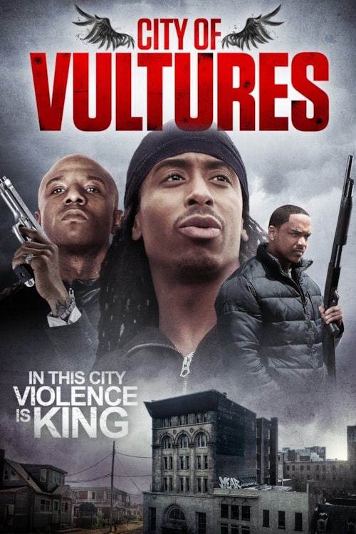 City of Vultures poster