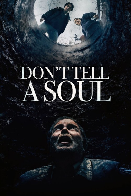 Don't Tell a Soul poster