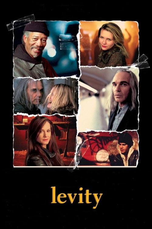 Levity poster