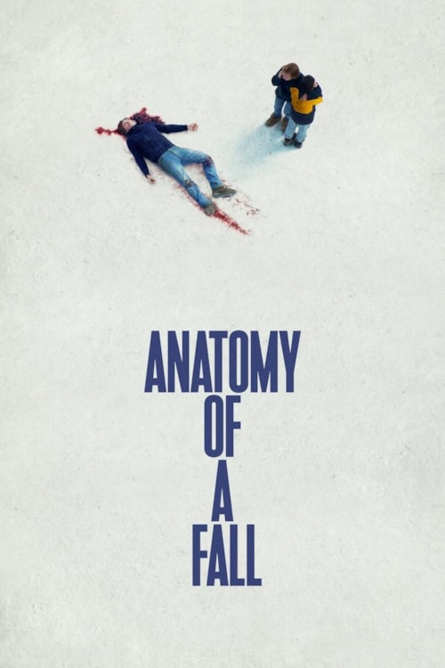 Anatomia di una caduta poster