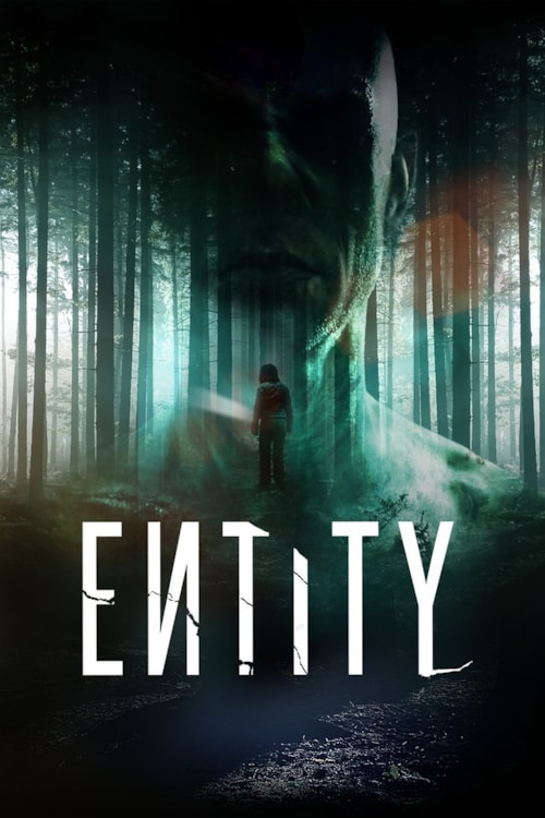 Entity poster