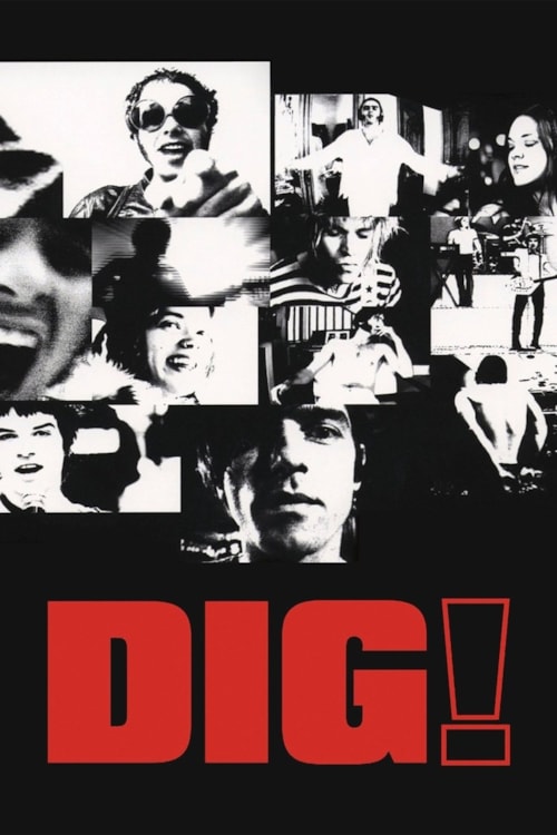 Dig! poster