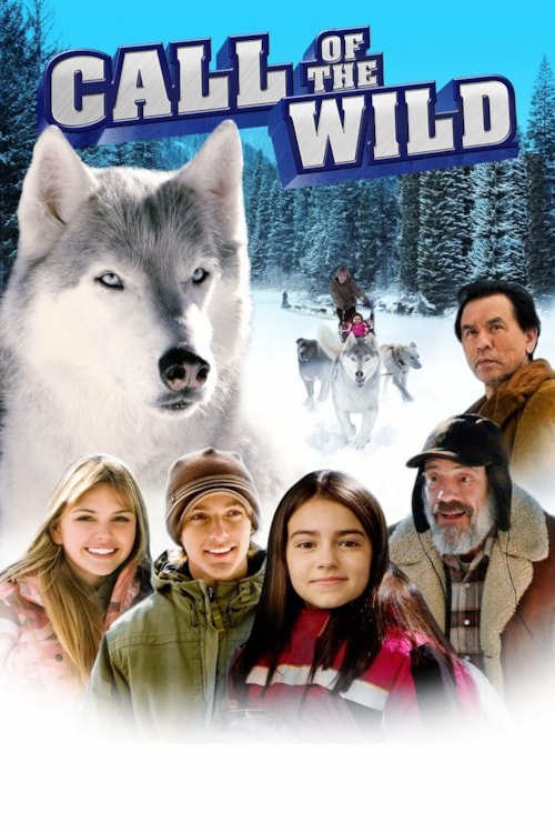 Call Of The Wild poster