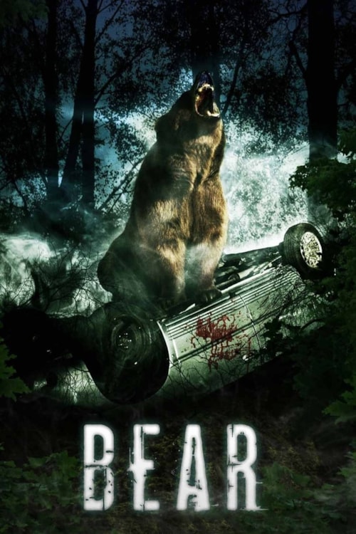 Bear poster
