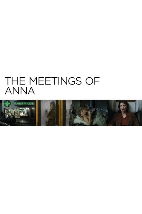The Meetings of Anna poster