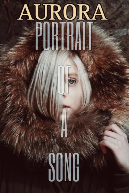 Portrait Of A Song poster