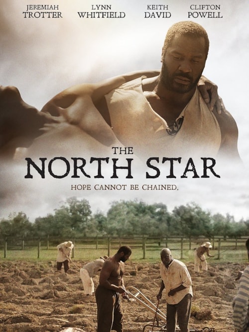 The North Star poster