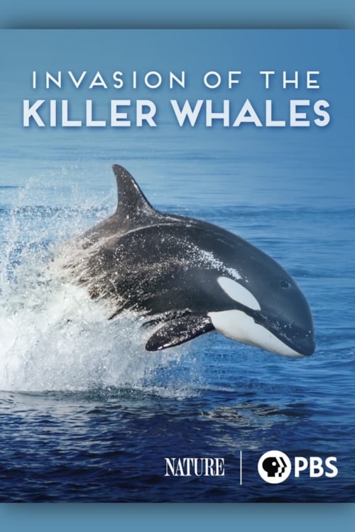 Invasion of the Killer Whales poster