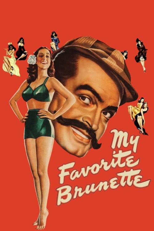 My Favorite Brunette poster