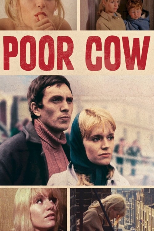 Poor Cow poster