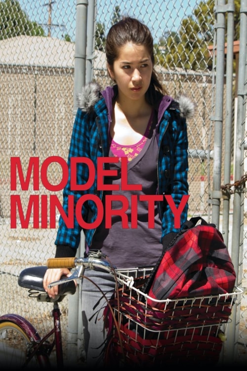 Model Minority poster