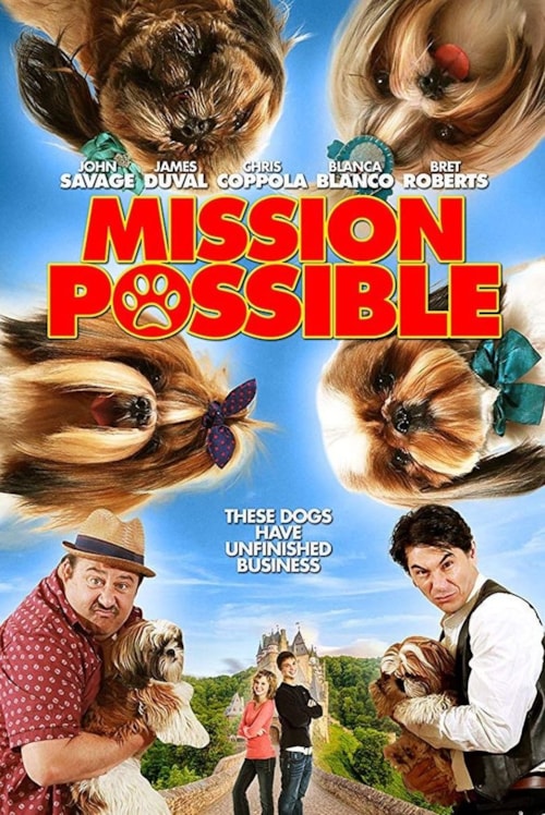 Mission Possible poster