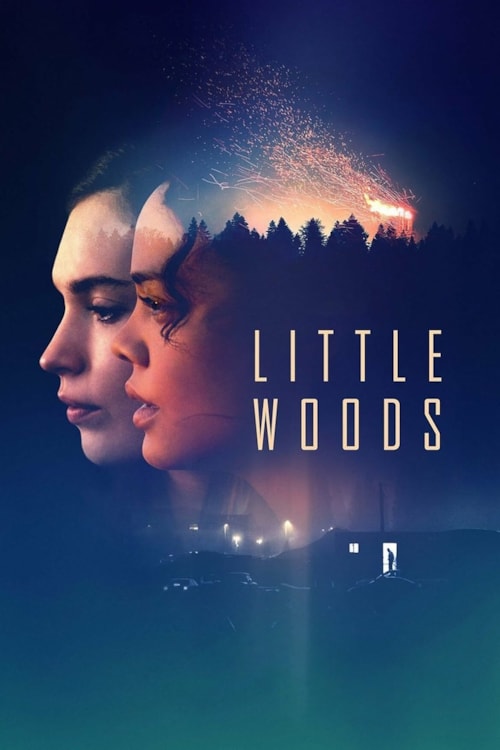 Little Woods poster
