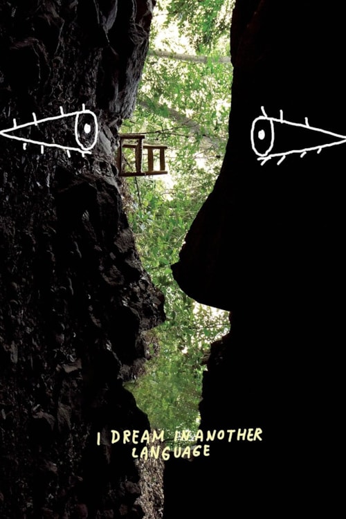 I Dream in Another Language poster