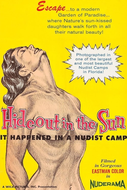 Hideout In The Sun poster