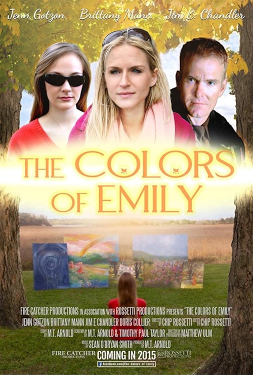 The Colors of Emily poster