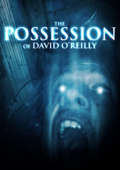 The Possession of David O'Reilly poster