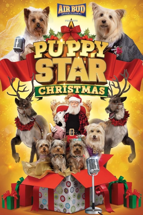 Puppy Star Christmas poster