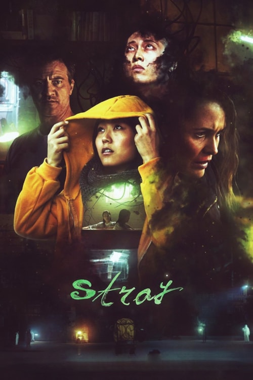 Stray poster