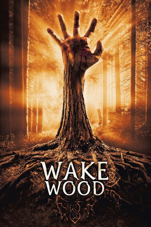 Wake Wood poster