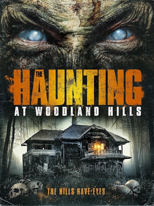 Vacant House poster
