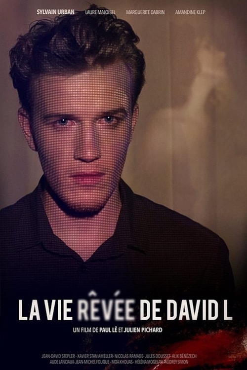 La vie rêvée de David L poster