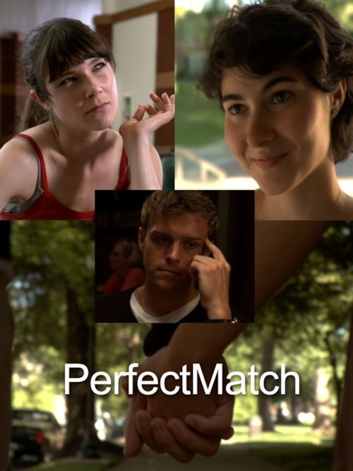 PerfectMatch poster