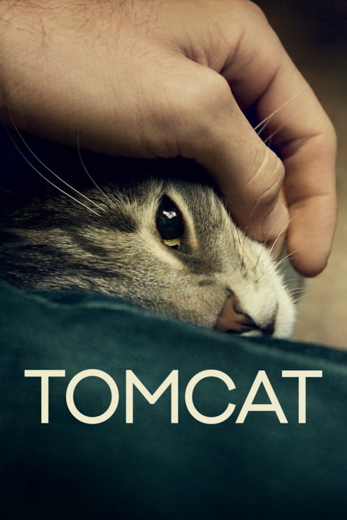 Kater poster