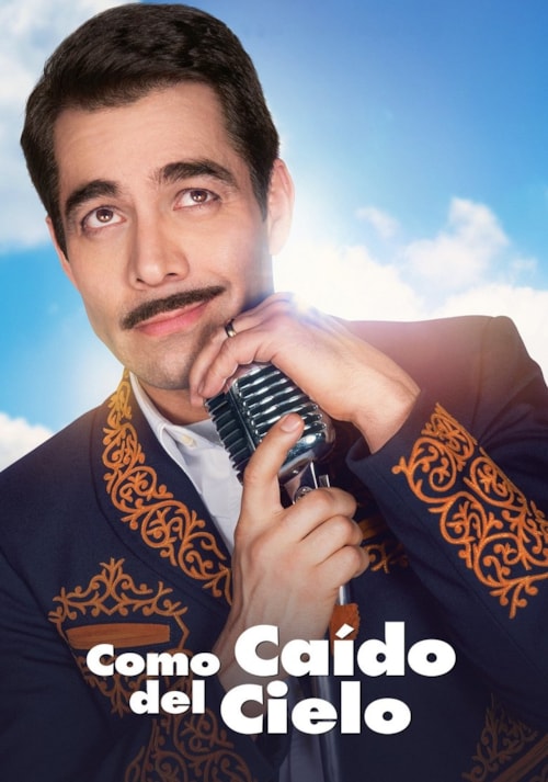 Como caído del cielo poster