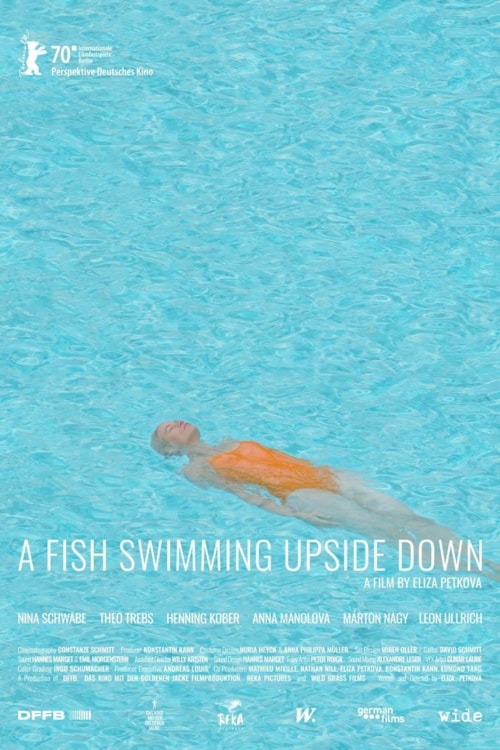 Ein Fisch, der auf dem Rücken schwimmt poster