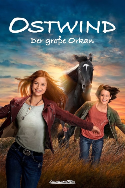 Ostwind - Der grosse Orkan poster