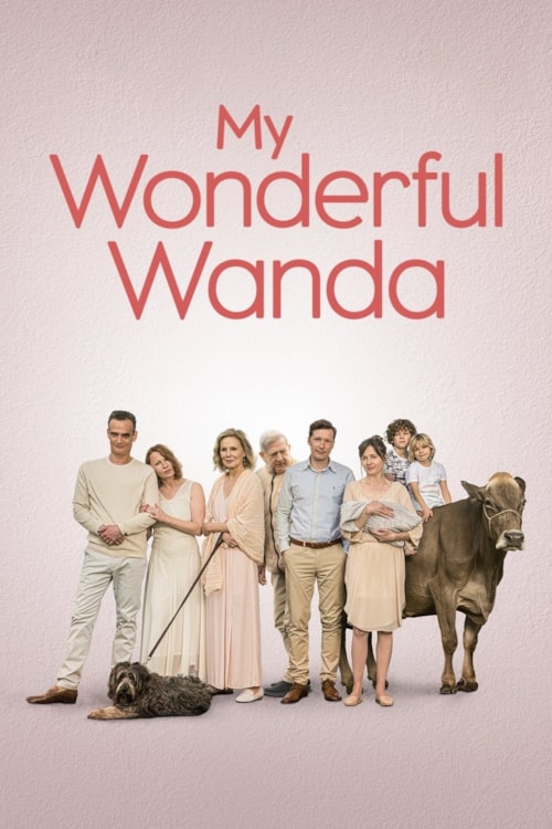 My Wonderful Wanda poster