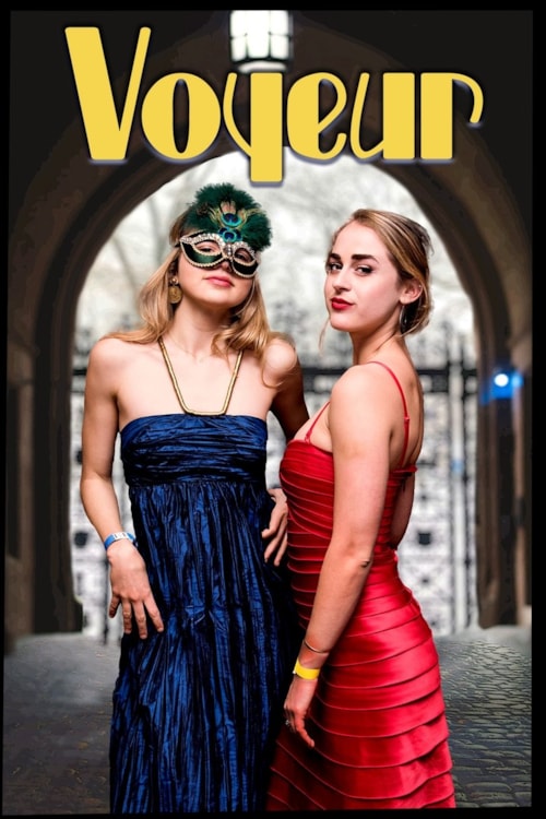 Voyeur poster
