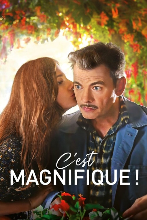 C'est magnifique ! poster