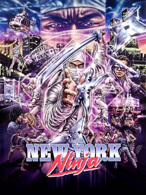 New York Ninja poster