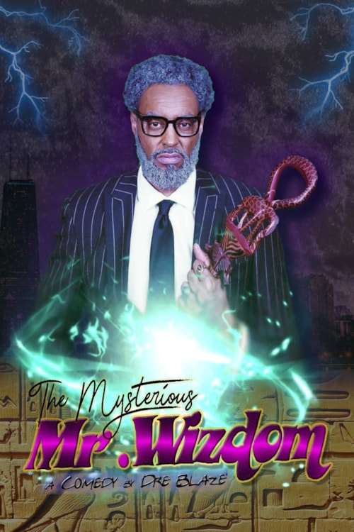 The Mysterious Mr. Wizdom poster