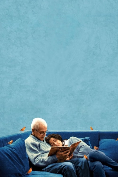 The Eternal Memory poster