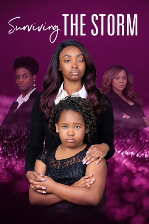 Surviving The Storm poster