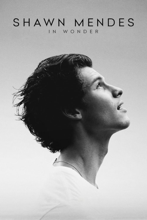 Shawn Mendes: In Wonder poster